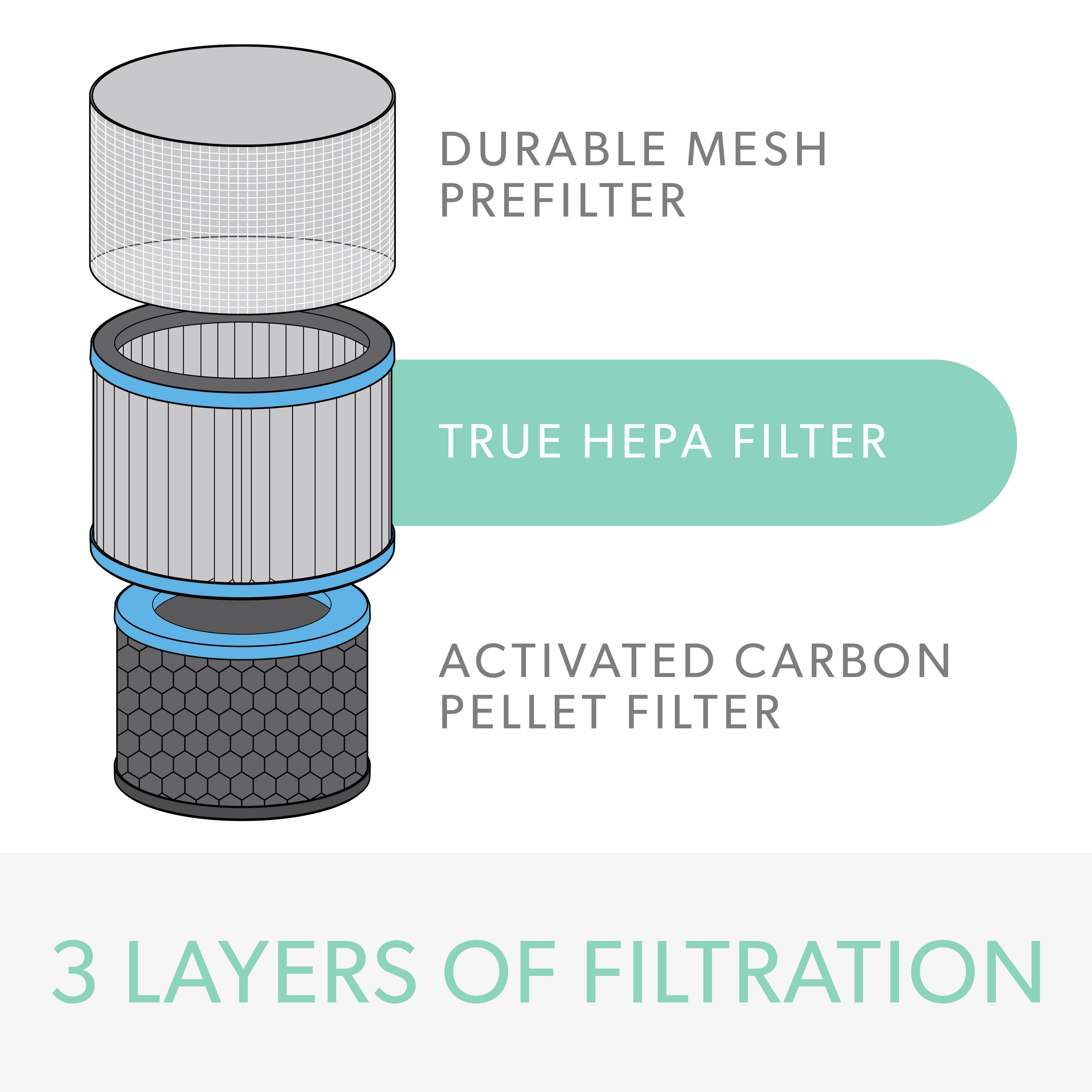 DuPont Allergy & Flu True HEPA Filter