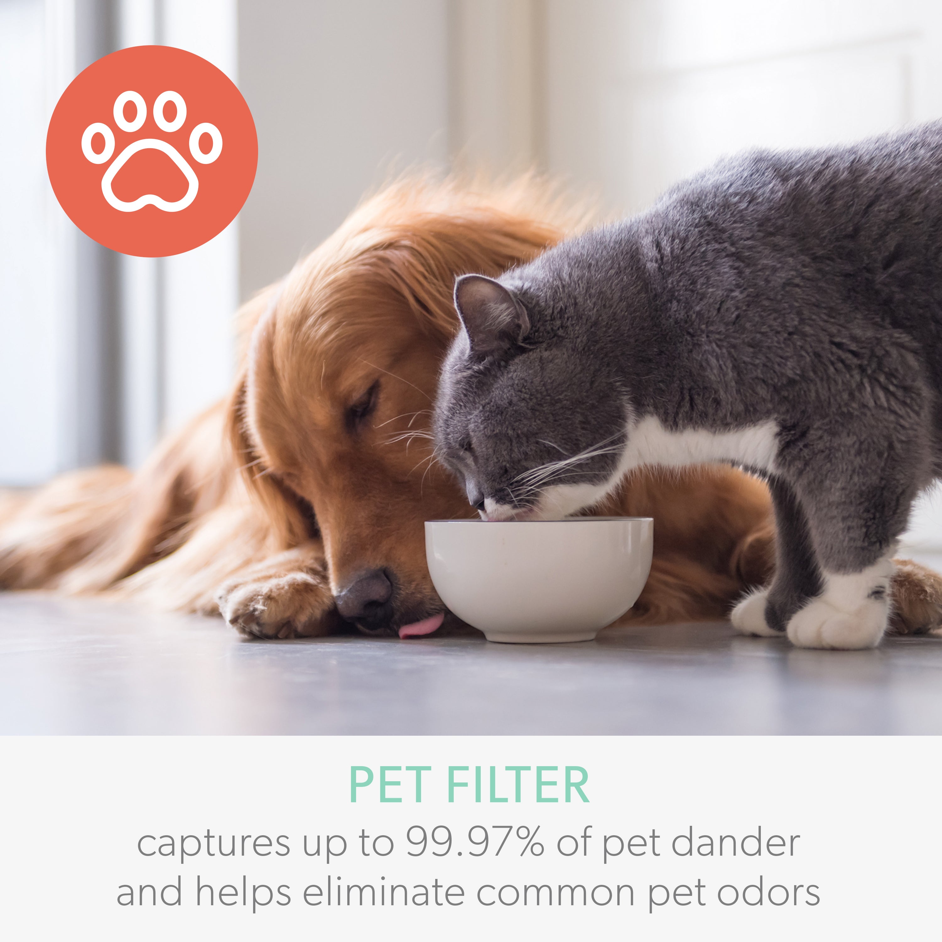 DuPont Pet Filter with True HEPA